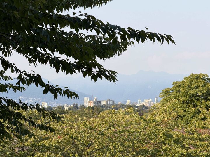 Property Photo: 3311 Quesnel Drive BC V6S 1Z7