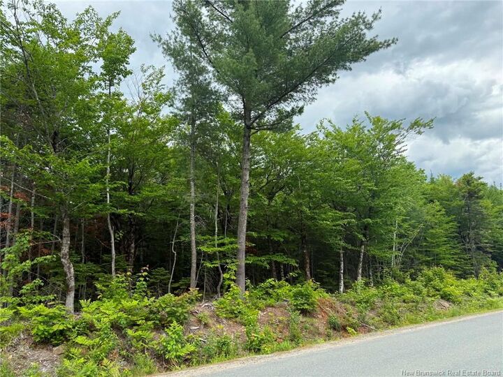 Lot 5 Hansen Road — photo 1