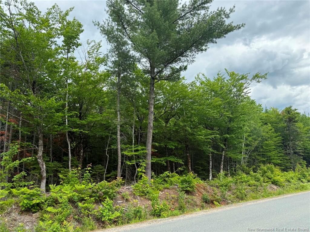 Property Photo:  Lot 5 Hansen Road  NB E1V 3M2 