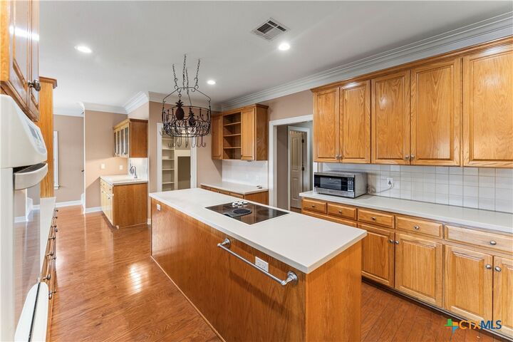 Property Photo:  3421 Chisholm Trail  TX 76571 