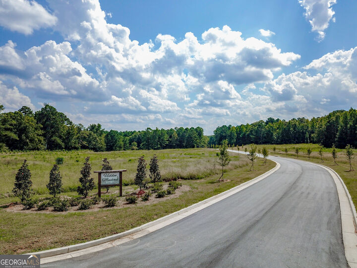 Property Photo:  136 Hidden Meadows Drive  GA 30218 