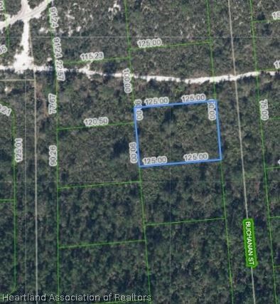 Property Photo: 648 Buchanan Street FL 33852
