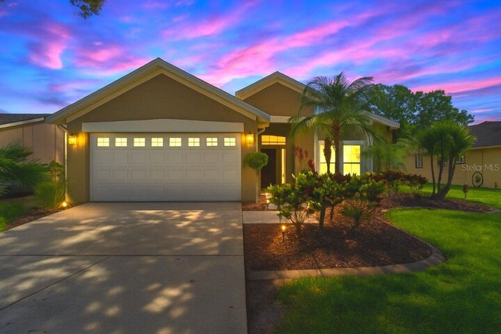 Property Photo:  11514 Wellman Drive  FL 33578 