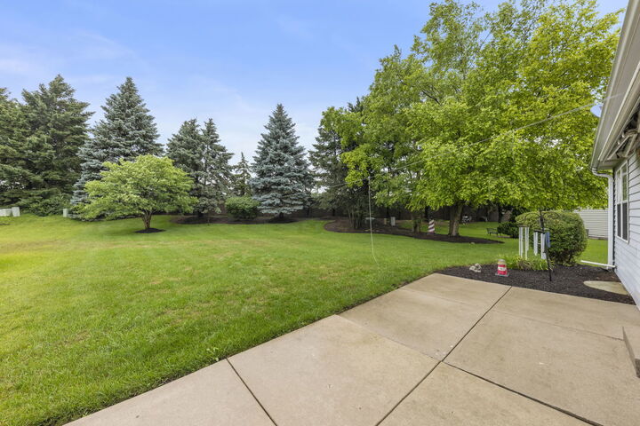 Property Photo:  413 Carriage Court  IL 60543 