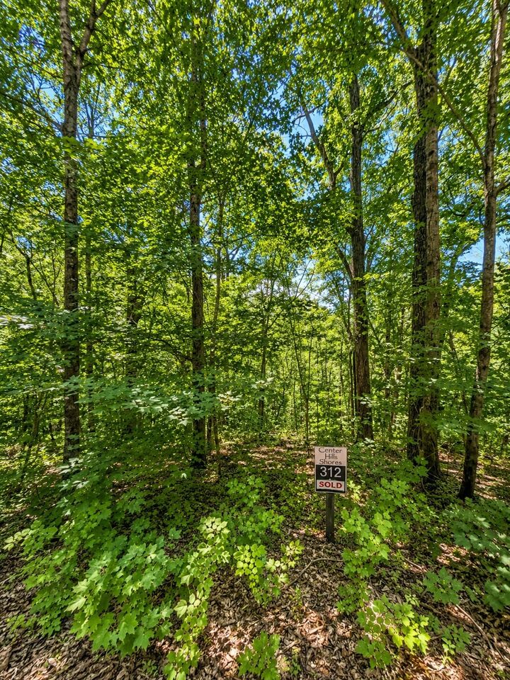 Property Photo:  0 Woodcrest Dr  TN 37166 