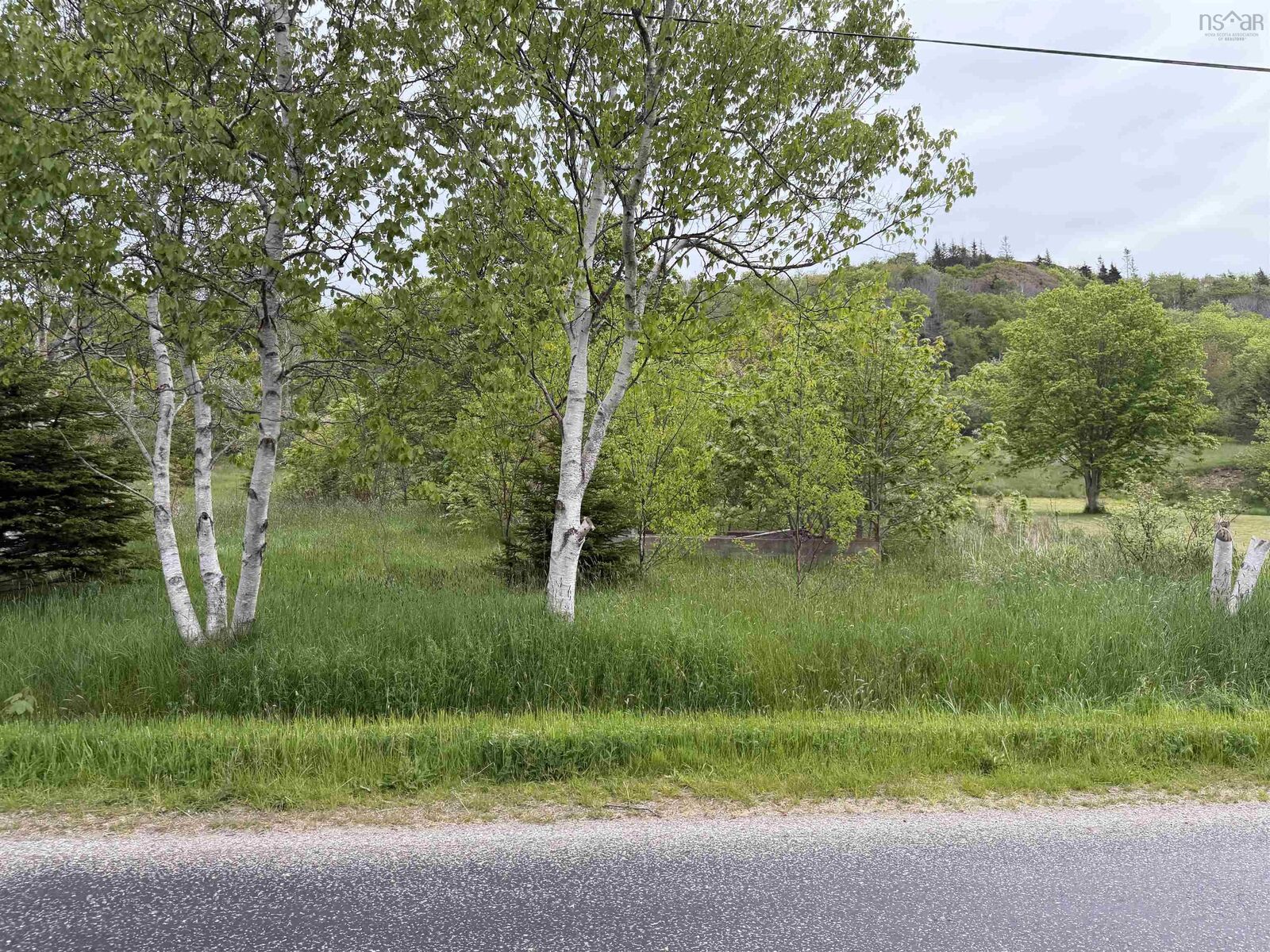 Property Photo:  262 Trout Cove Road  NS B0V 1A0 