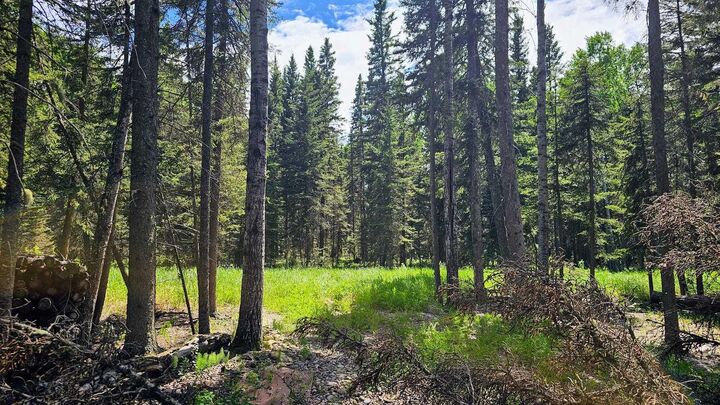 Property Photo: 5209 Township Road 325A 31 AB T0M 1X0