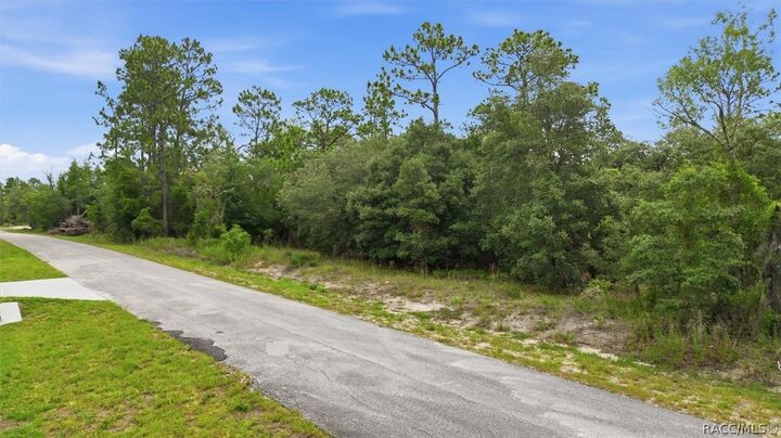 Property Photo: 0000 SW Sands Point Avenue FL 34431