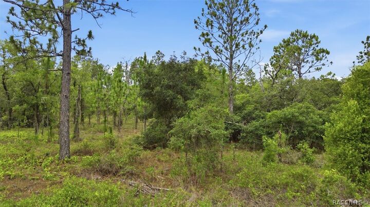 Property Photo: 0000 SW Plaza Court FL 34431