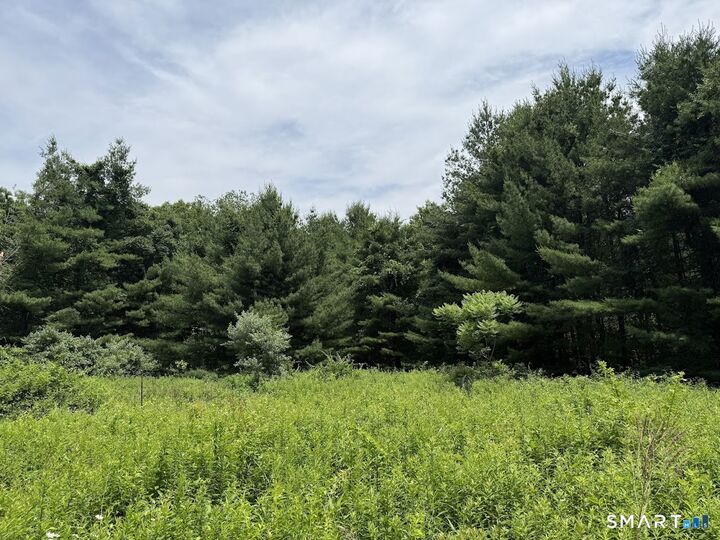 Property Photo:  162 Lonetown Road  CT 06896 
