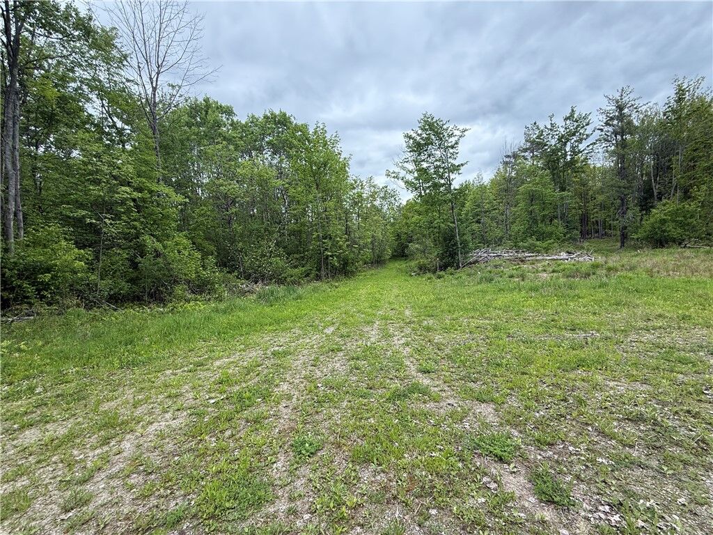 Property Photo:  Hawley Road  NY 14815 