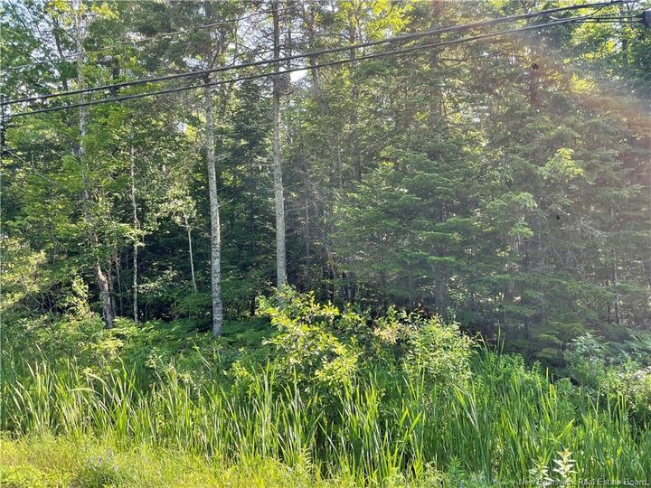 Lot 1 Route 490 — photo 1