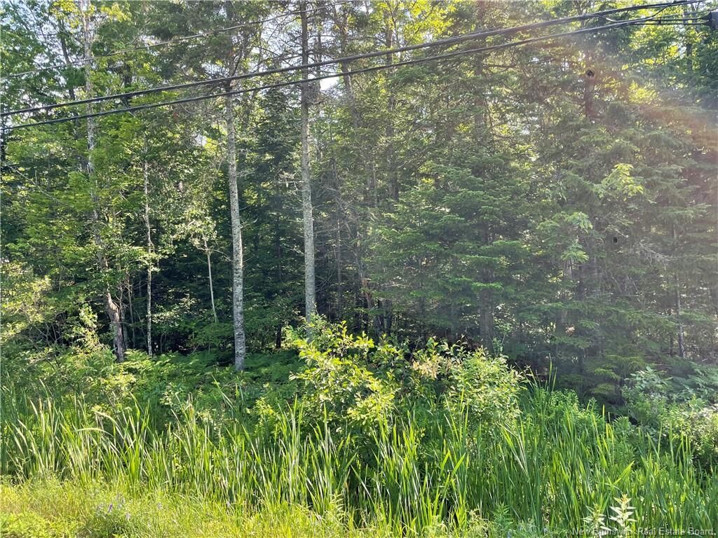 Property Photo:  Lot 1 Route 490  NB E1G 3J4 