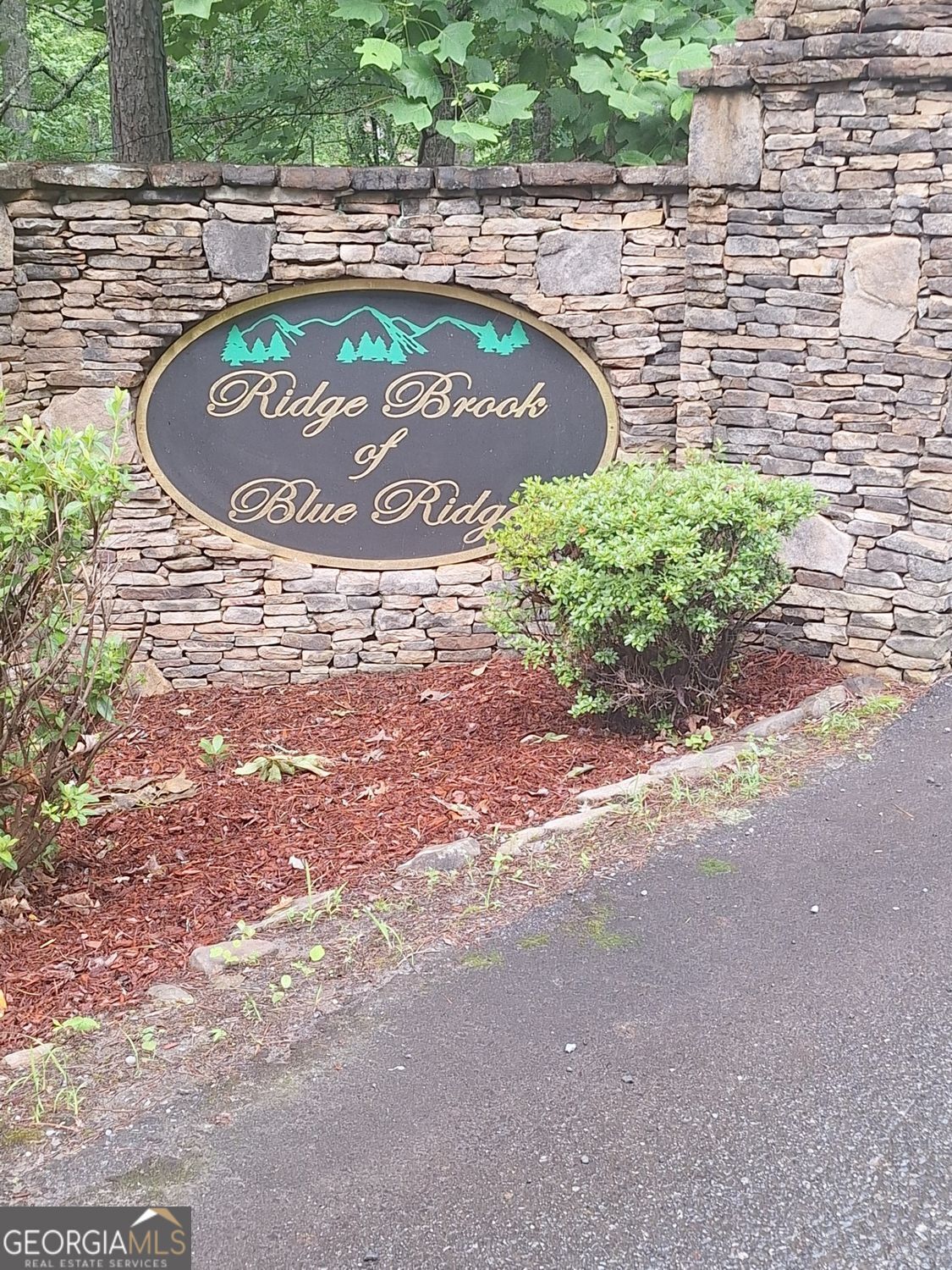 Property Photo:  Lot 22 Meadow Brook Trail  GA 30560 