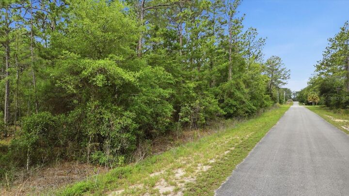 Property Photo: 0000 SW Beaver Drive FL 34431