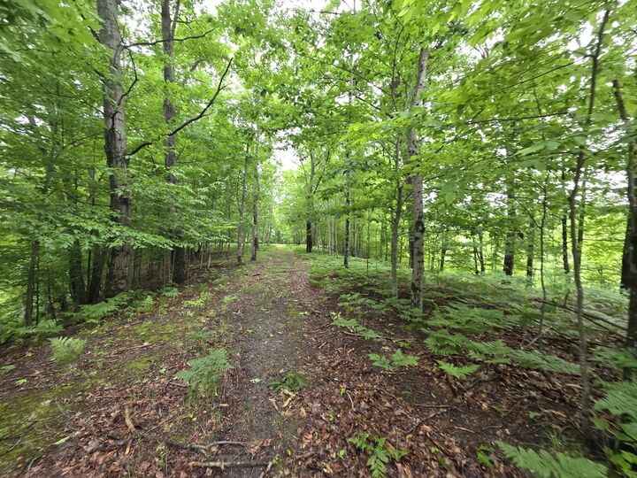 Property Photo:  Madison Road  MI 49421 