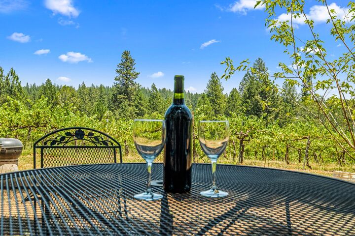 Property Photo: 0 Greenwood Road CA 95633