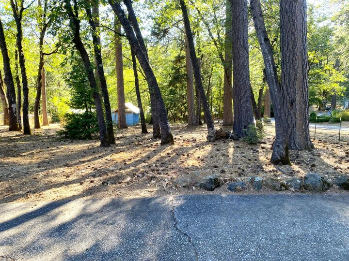 Property Photo:  14405 Talking Pines Road  CA 95945 