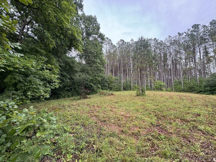 Property Photo:  0 Johnson Hollow Rd  TN 37175 