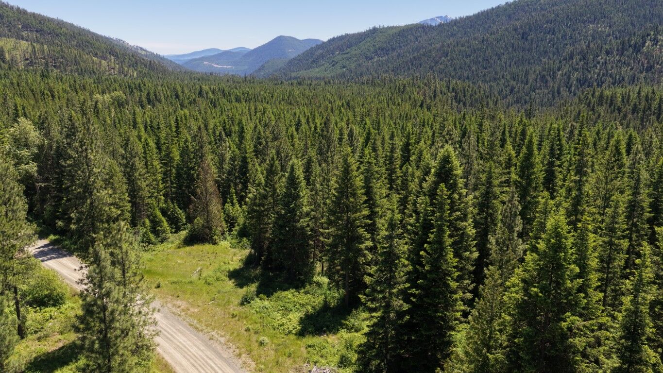 Property Photo:  4577 Quartz Creek Road  MT 59923 