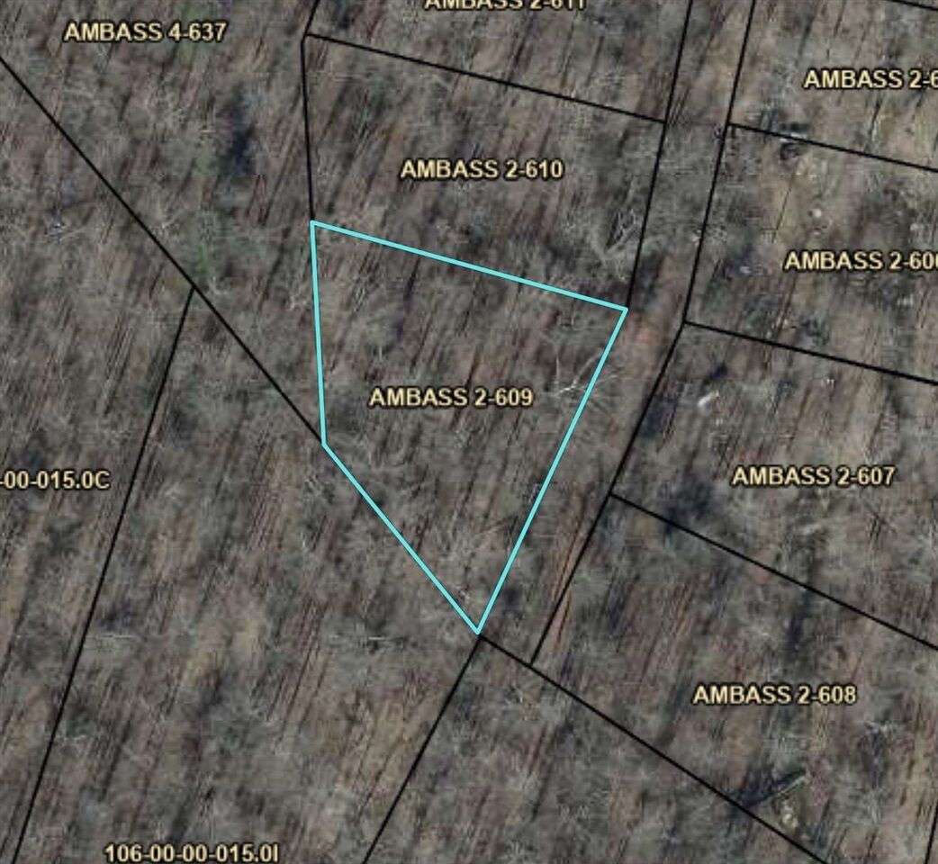 Property Photo: Lot 609 Ambassador Shores KY 42757