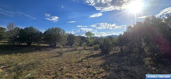 Property Photo: 4533 Arrowhead Road NM 88061-0000