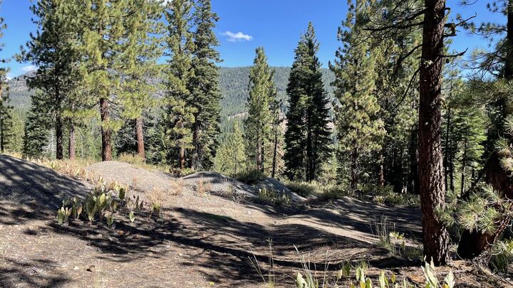 Property Photo: 019-080-023-000 Groundhog Rock CA 96126