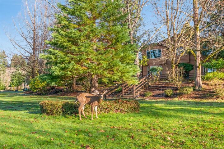 Property Photo: 3776 Argyle Way BC V9Y 8A6
