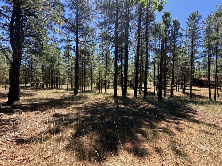 Property Photo:  2124 Antelope Way  AZ 86024 