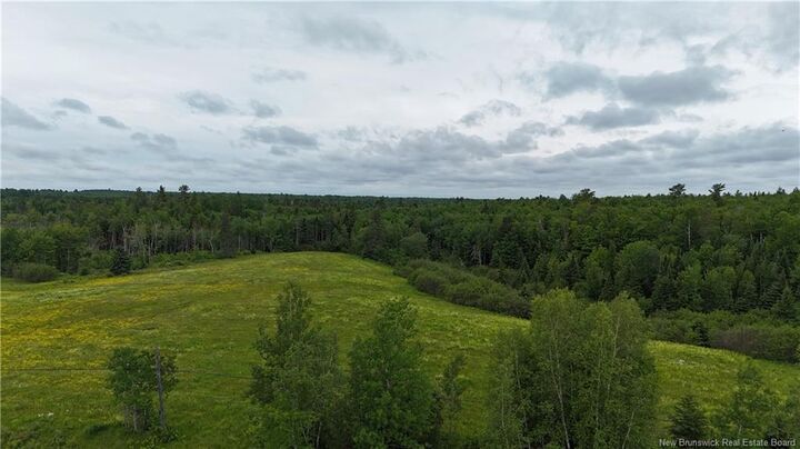 Property Photo:  Lot 2 Route 134  NB E4X 1H5 