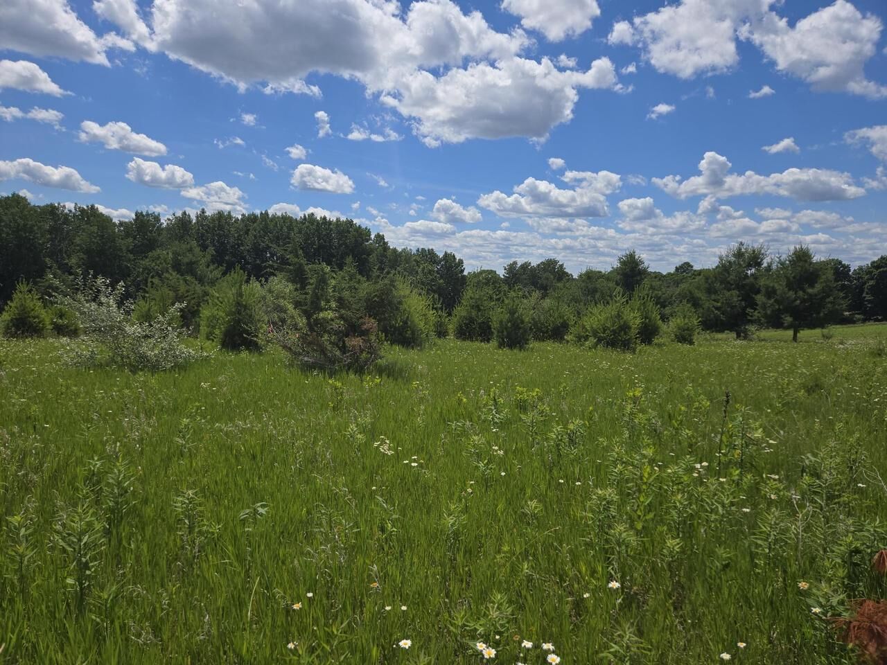 Property Photo:  L1076 Hunt Club Bugle Court  WI 53941 