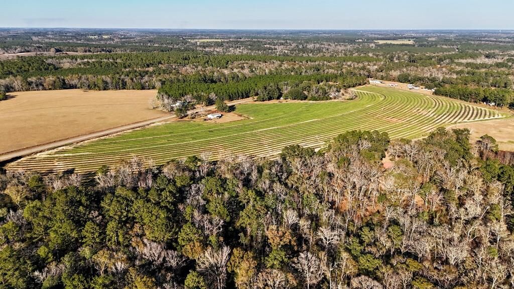 Property Photo:  00 Tired Creek Rd.  GA 39897 