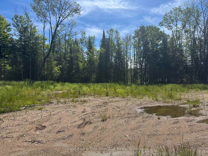 Property Photo:  1481 Pickerel Jack Lake Road  ON P0A 1C0 