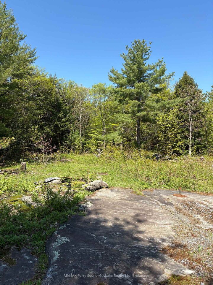 175 North Sandy Plains Road — photo 1