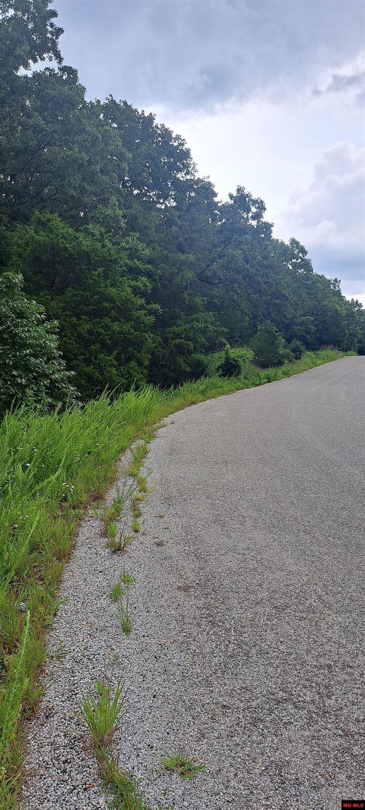 Property Photo:  Lot 4 Basswood Drive  AR 72653 
