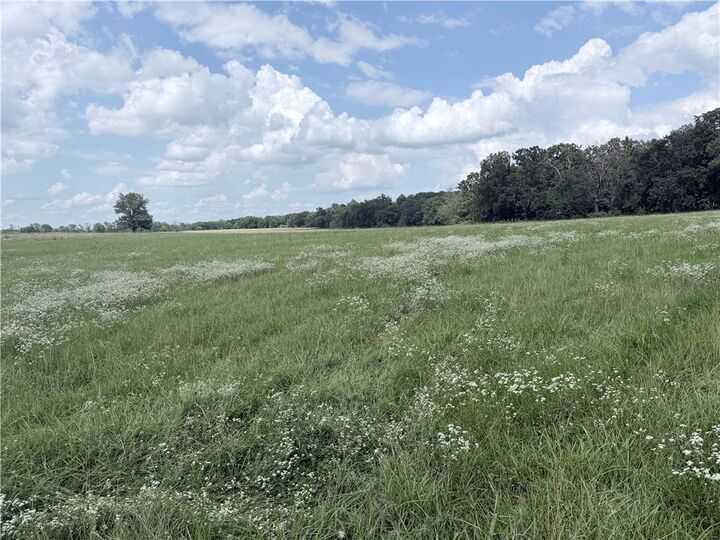 Property Photo: State Line Road AR 72747
