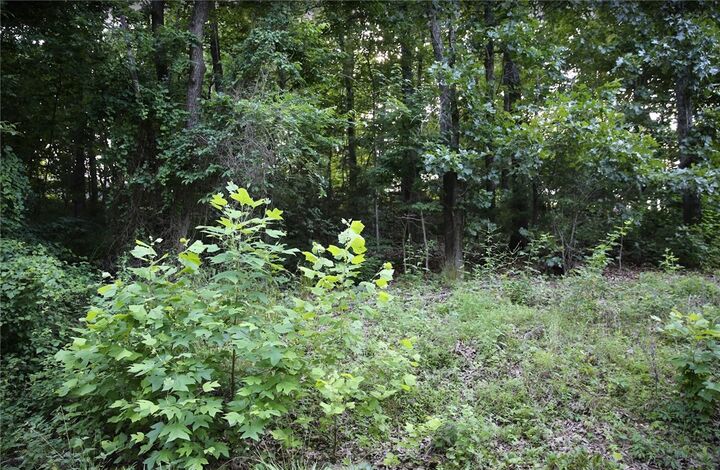 Property Photo:  Lot 12 Thaxted Drive  AR 72715 