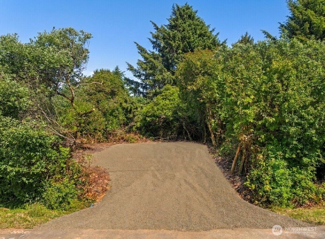 Property Photo:  156  Auriga Avenue SW  WA 98569 