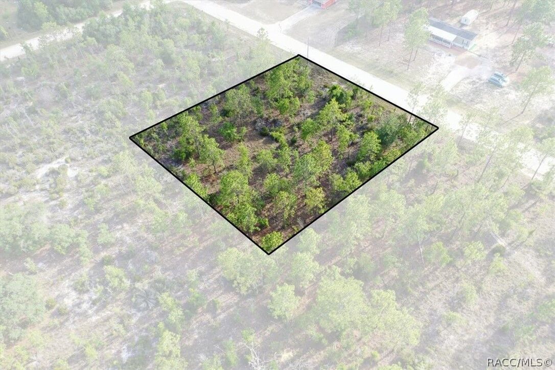 Property Photo:  0000 NE 131st Lot 7 Terrace  FL 32696 