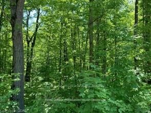 Property Photo:  Lot 31 River Heights Road  ON K0K 2M0 