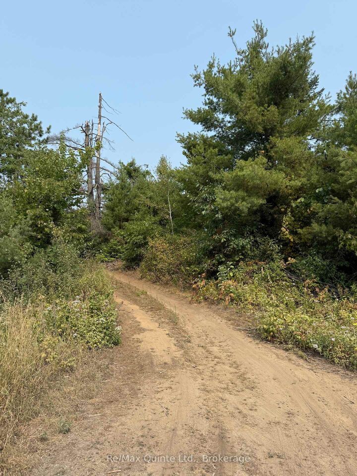 0 Potter Settlement Road — photo 1