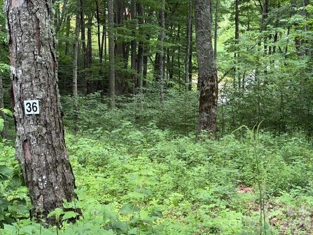 Property Photo:  Lot 36 Odalu Trail 36  NC 28751 