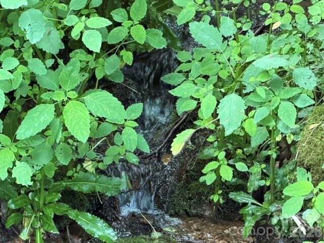 Property Photo:  Lot 38 Yanasa Trail 38  NC 28751 