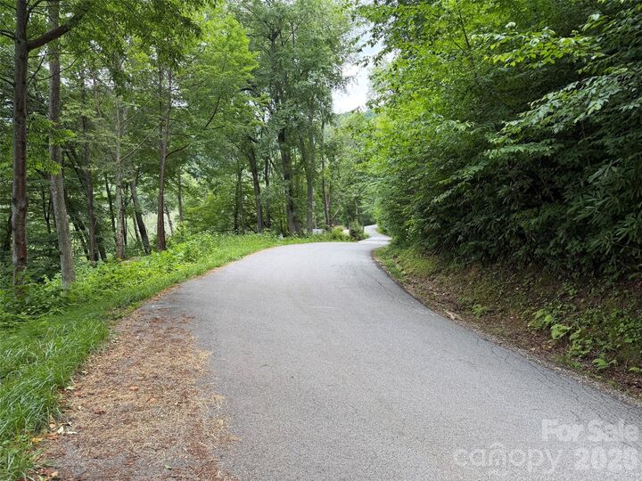 Property Photo:  Lot 5 Gadohi Trail 5  NC 28751 