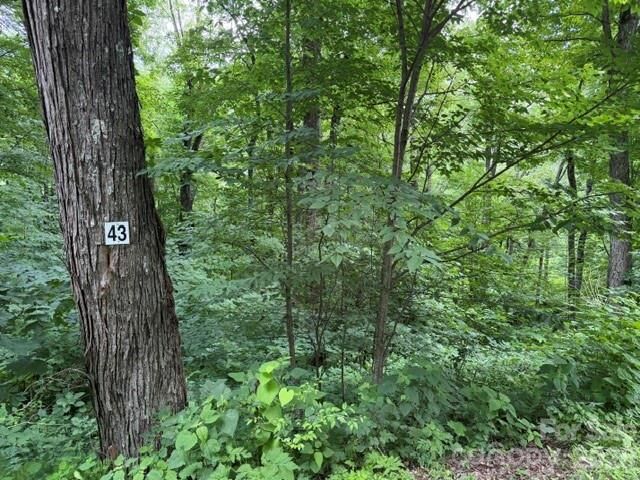 Property Photo:  Lot 43 Gata Trail 43  NC 28751 