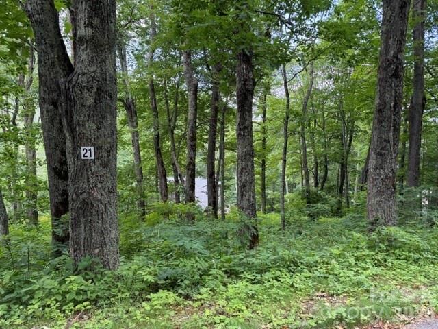 Property Photo: Lot 21 Odalu Trail 21 NC 28751