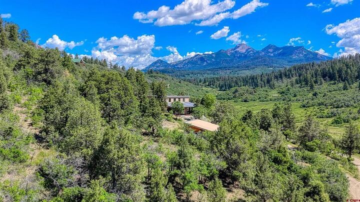 Property Photo:  1124 Roush Drive  CO 81147 