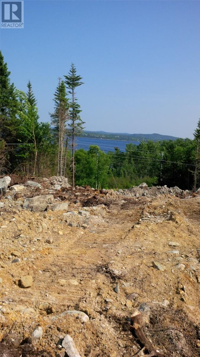 Property Photo:  326-329 Main Street North  NL A0G 2L0 