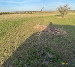 Property Photo:  4496 Fm 2086  TX 76501 