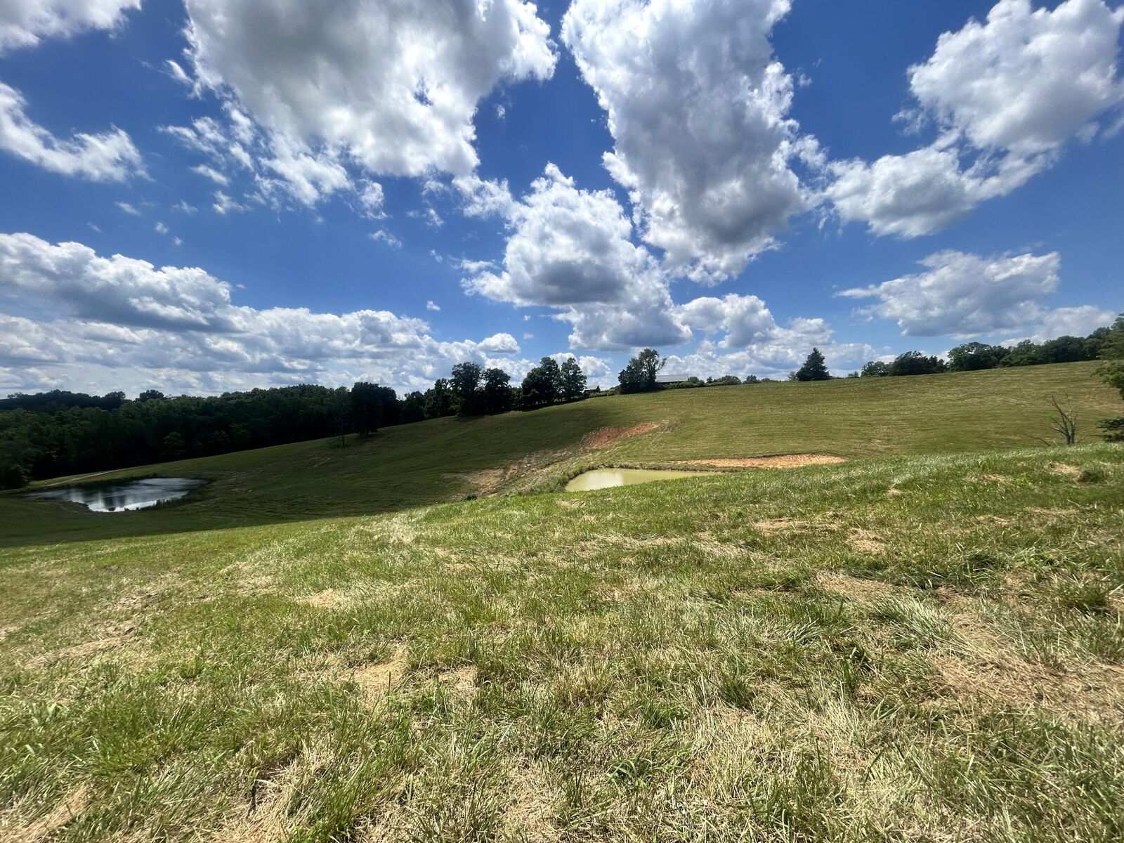 Property Photo:  5 Ruel Glidewell Road  KY 42717 